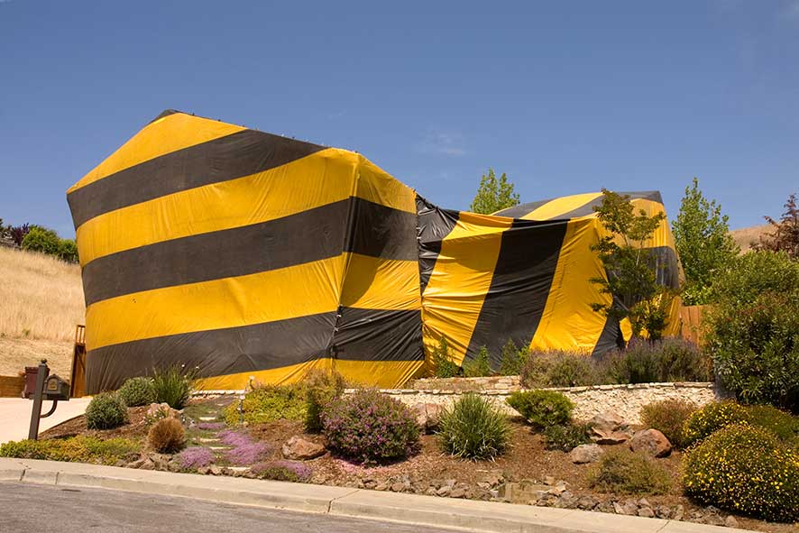 Desert home tented for termite eradication